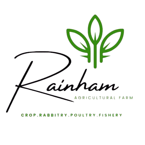 Rainham Agricultural Farm